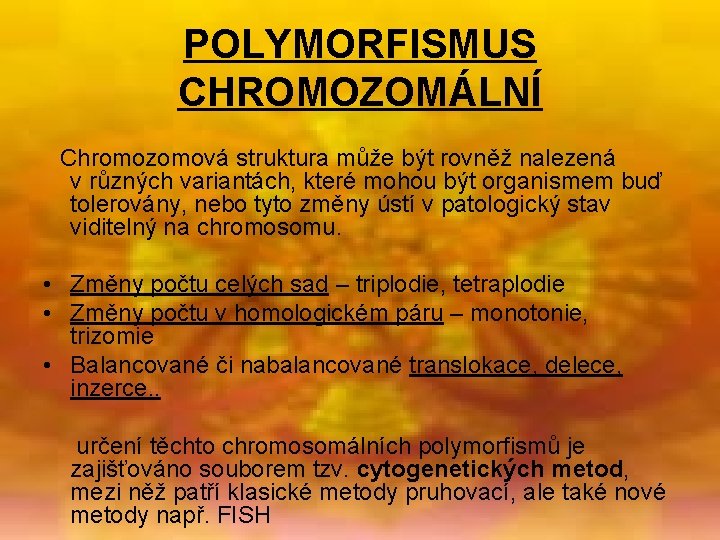 POLYMORFISMUS CHROMOZOMÁLNÍ Chromozomová struktura může být rovněž nalezená v různých variantách, které mohou být