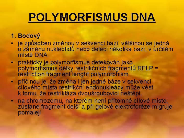 POLYMORFISMUS DNA 1. Bodový • je způsoben změnou v sekvenci bazí, většinou se jedná