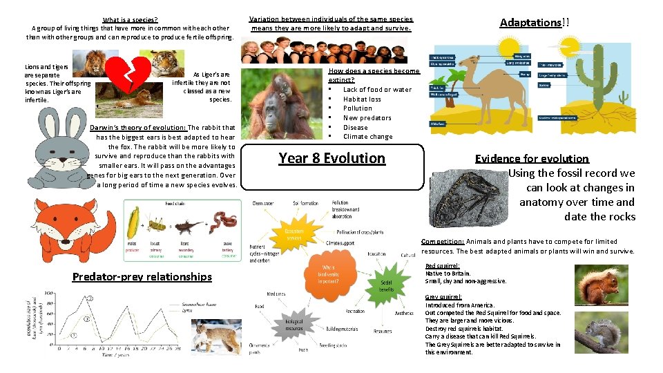 What is a species? A group of living things that have more in common