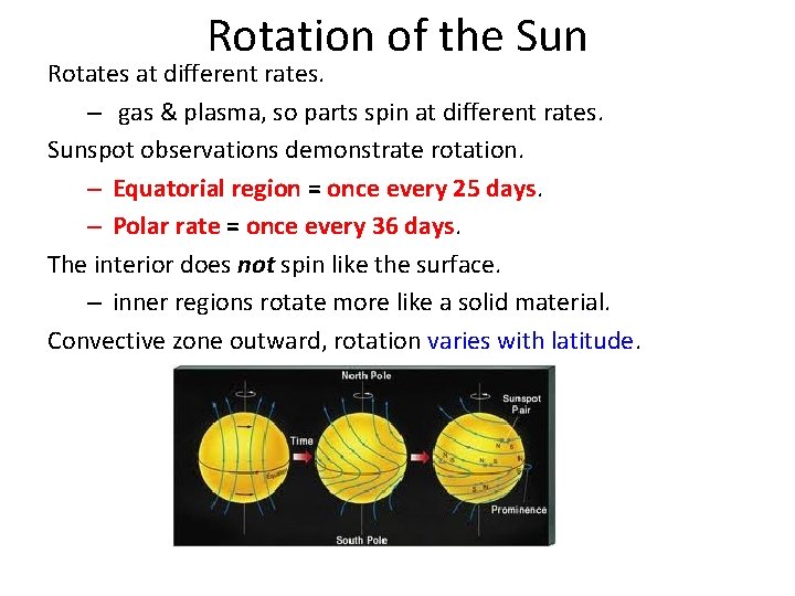 Rotation of the Sun Rotates at different rates. – gas & plasma, so parts