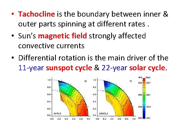  • Tachocline is the boundary between inner & outer parts spinning at different
