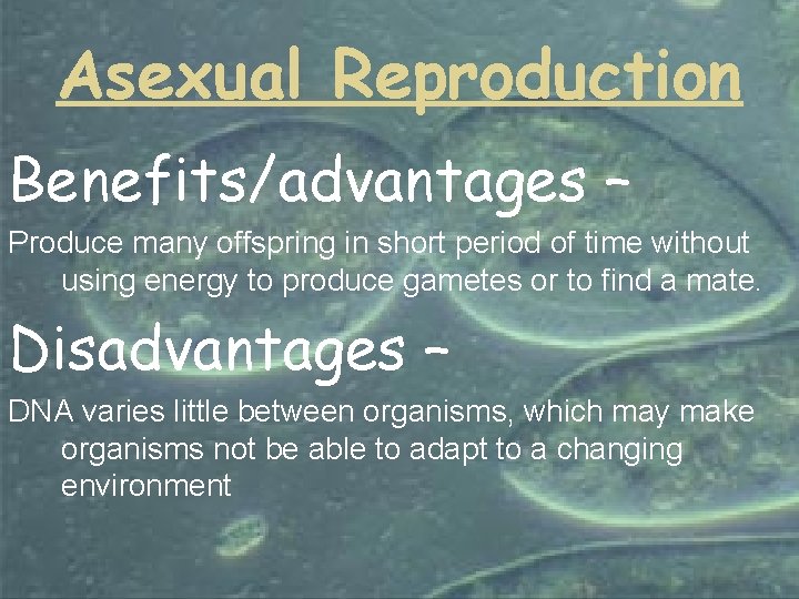 Asexual Reproduction Benefits/advantages – Produce many offspring in short period of time without using