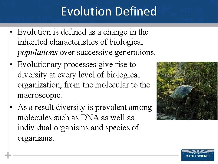 Charles Darwin Charles Darwin 1809 1882 is credited
