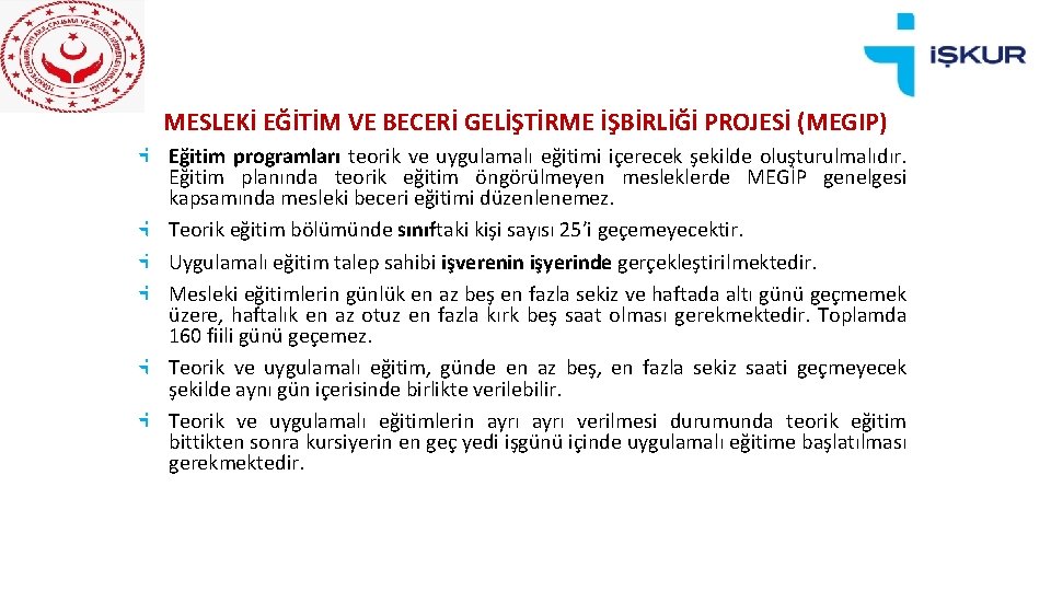 MESLEKİ EĞİTİM VE BECERİ GELİŞTİRME İŞBİRLİĞİ PROJESİ (MEGİP) Eğitim programları teorik ve uygulamalı eğitimi