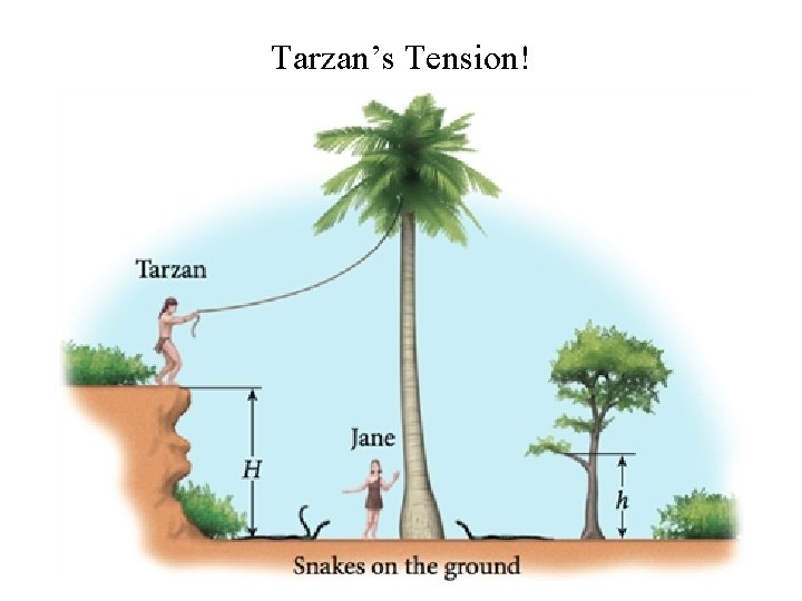 Tarzan’s Tension! 
