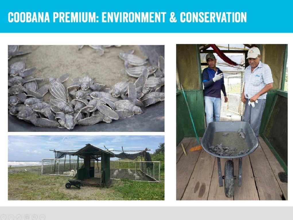 Click icon to add picture 