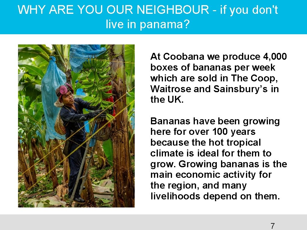 WHY ARE YOU OUR NEIGHBOUR - if you don't live in panama? At Coobana