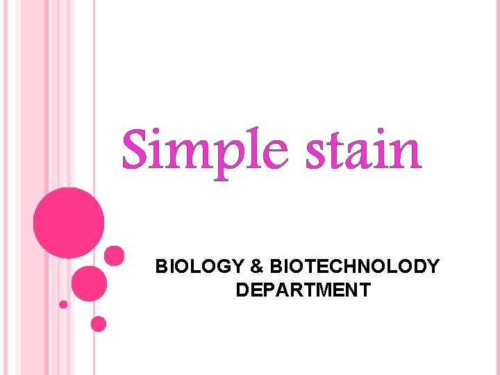 Simple stain BIOLOGY & BIOTECHNOLODY DEPARTMENT 