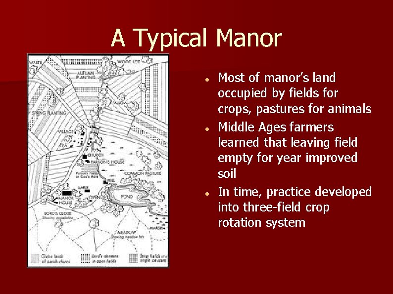 A Typical Manor Most of manor’s land occupied by fields for crops, pastures for