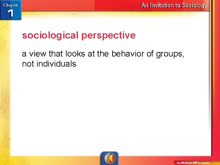 sociological perspective a view that looks at the behavior of groups, not individuals 