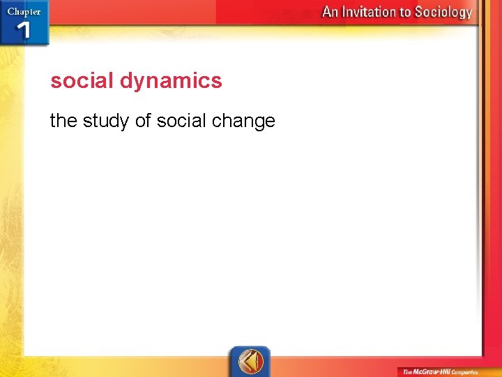social dynamics the study of social change 