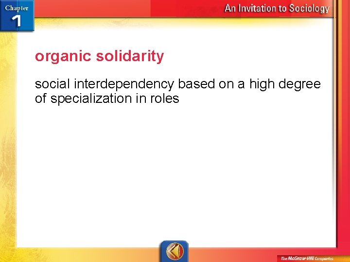 organic solidarity social interdependency based on a high degree of specialization in roles 