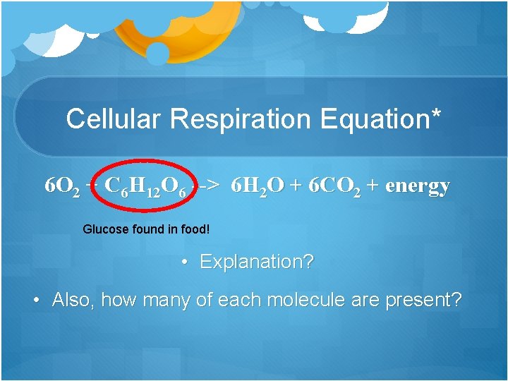 Cellular Respiration Equation* 6 O 2 + C 6 H 12 O 6 -->