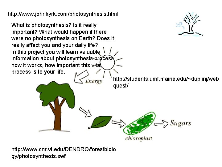 http: //www. johnkyrk. com/photosynthesis. html What is photosynthesis? Is it really important? What would