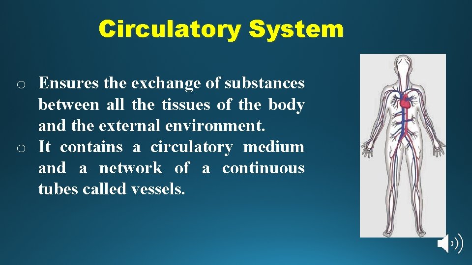 Circulatory System o Ensures the exchange of substances between all the tissues of the