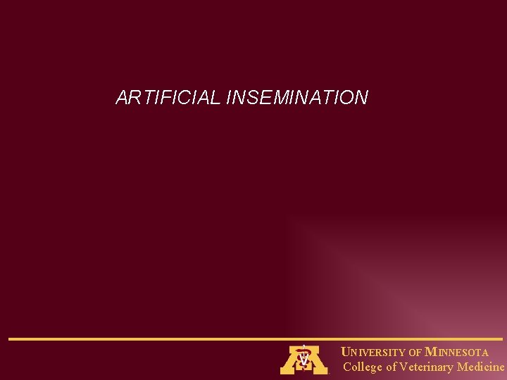 ARTIFICIAL INSEMINATION UNIVERSITY OF MINNESOTA College of Veterinary Medicine 