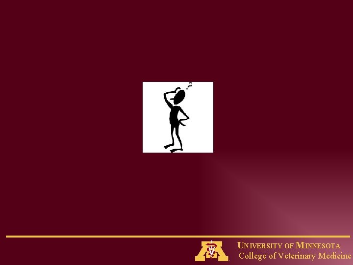 UNIVERSITY OF MINNESOTA College of Veterinary Medicine 