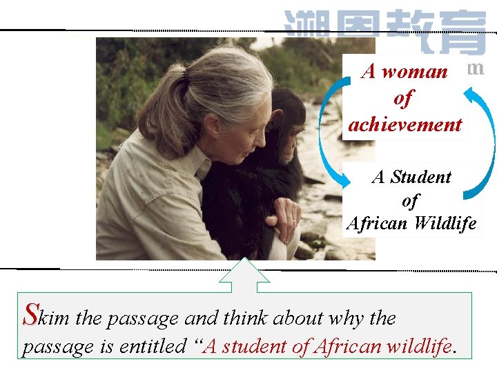 A woman of achievement A Student of African Wildlife Skim the passage and think A woman of achievement A Student of African Wildlife Skim the passage and think