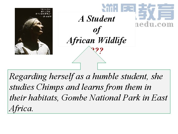 A Student of African Wildlife ? ? ? Regarding herself as a humble student, A Student of African Wildlife ? ? ? Regarding herself as a humble student,