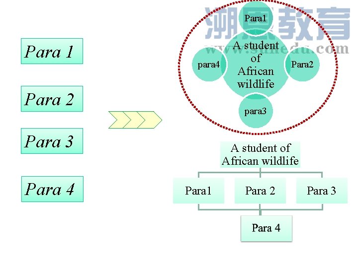 Para 1 para 4 Para 2 para 3 Para 4 A student of African Para 1 para 4 Para 2 para 3 Para 4 A student of African