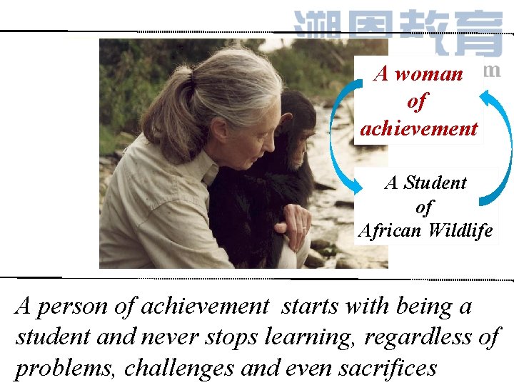 A woman of achievement A Student of African Wildlife A person of achievement starts A woman of achievement A Student of African Wildlife A person of achievement starts