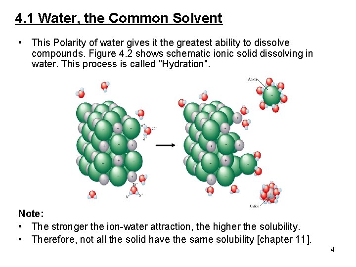 4. 1 Water, the Common Solvent • This Polarity of water gives it the