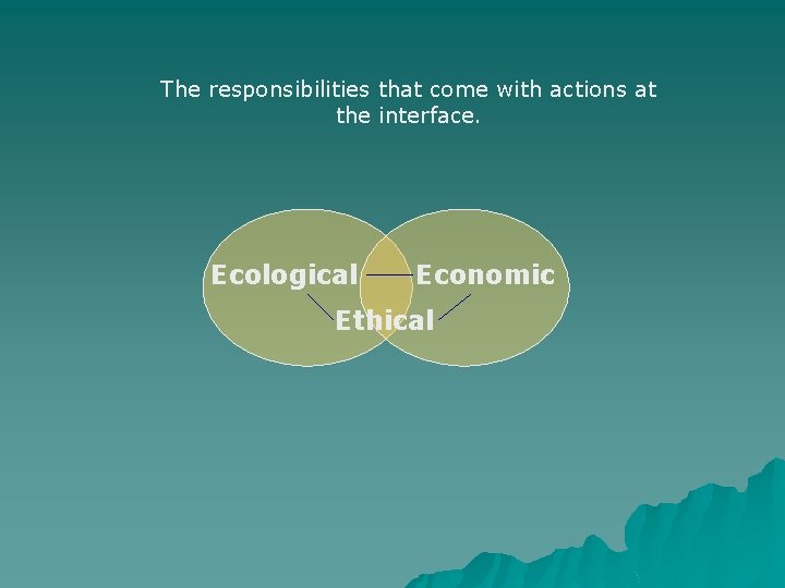 The responsibilities that come with actions at the interface. Ecological Economic Ethical 