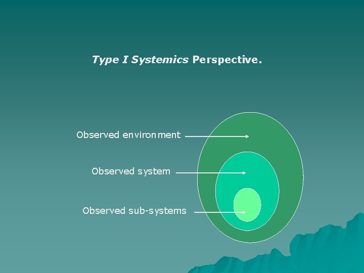 Type I Systemics Perspective. Observed environment Observed system Observed sub-systems 