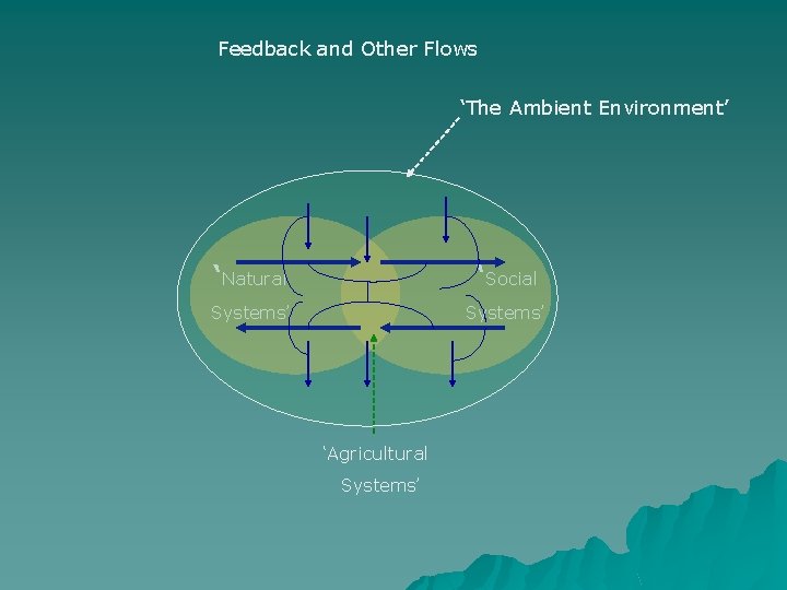 Feedback and Other Flows ‘The Ambient Environment’ ‘Natural ‘Social Systems’ ‘Agricultural Systems’ 