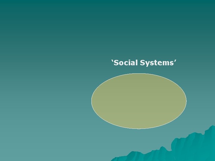 ‘Social Systems’ 
