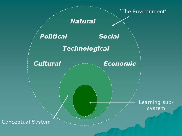 ‘The Environment’ Natural Political Social Technological Cultural Economic Learning subsystem Conceptual System 