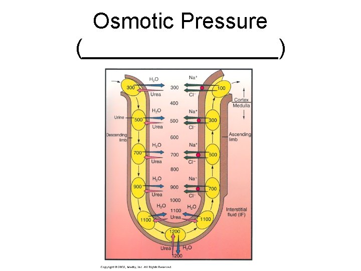 Osmotic Pressure (________) 