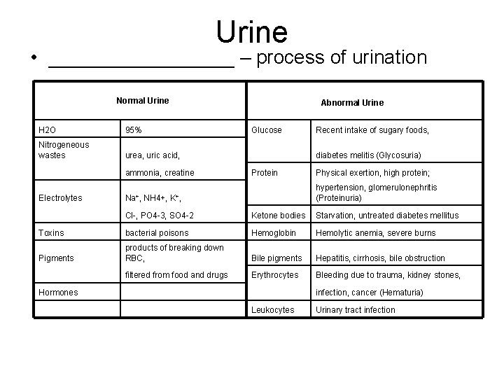 Urine • _________ – process of urination Normal Urine H 2 O 95% Nitrogeneous