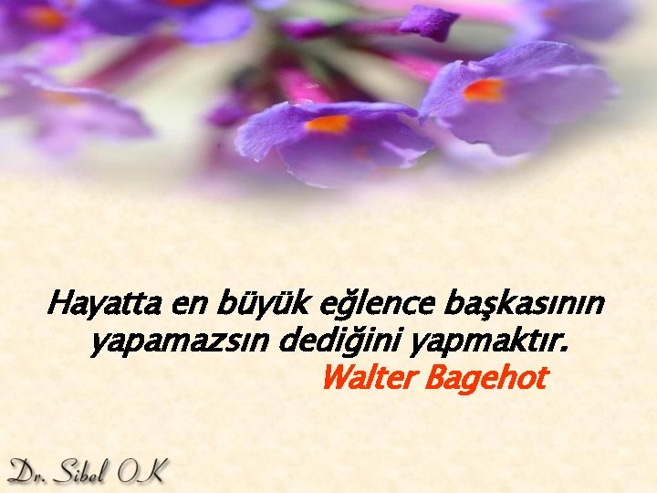Hayatta en büyük eğlence başkasının yapamazsın dediğini yapmaktır. Walter Bagehot 