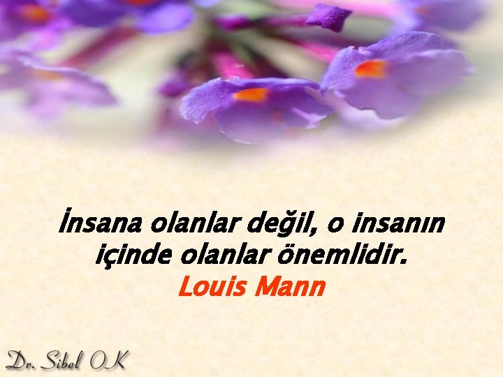 İnsana olanlar değil, o insanın içinde olanlar önemlidir. Louis Mann 