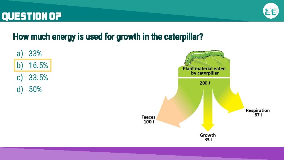 QUESTION 07 How much energy is used for growth in the caterpillar? a) b)