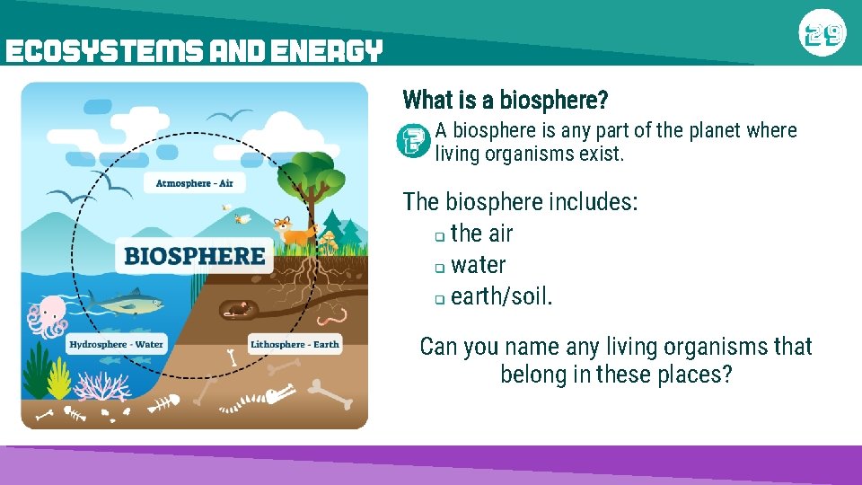 ECOSYSTEMS AND ENERGY What is a biosphere? A biosphere is any part of the