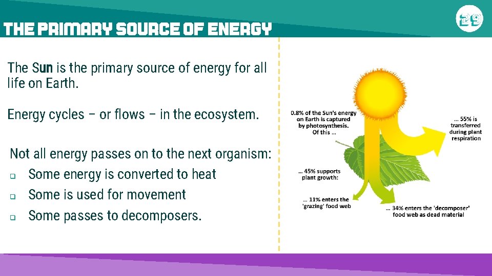THE PRIMARY SOURCE OF ENERGY The Sun is the primary source of energy for