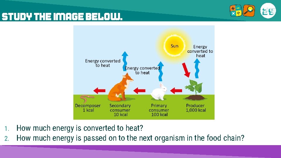 STUDY THE IMAGE BELOW. 1. 2. How much energy is converted to heat? How