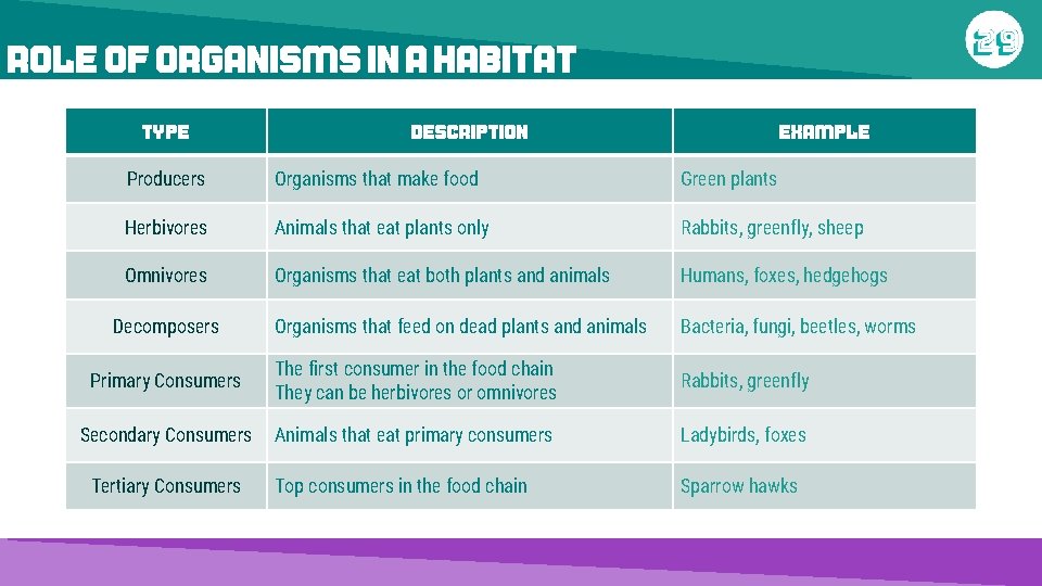 ROLE OF ORGANISMS IN A HABITAT Type Description Example Producers Organisms that make food