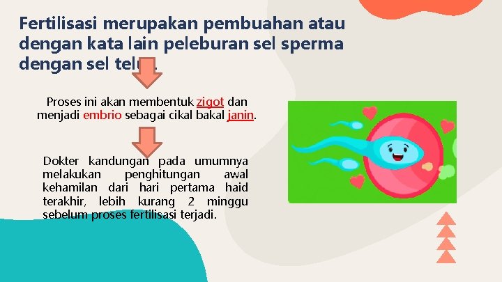 Fertilisasi merupakan pembuahan atau dengan kata lain peleburan sel sperma dengan sel telur. Proses