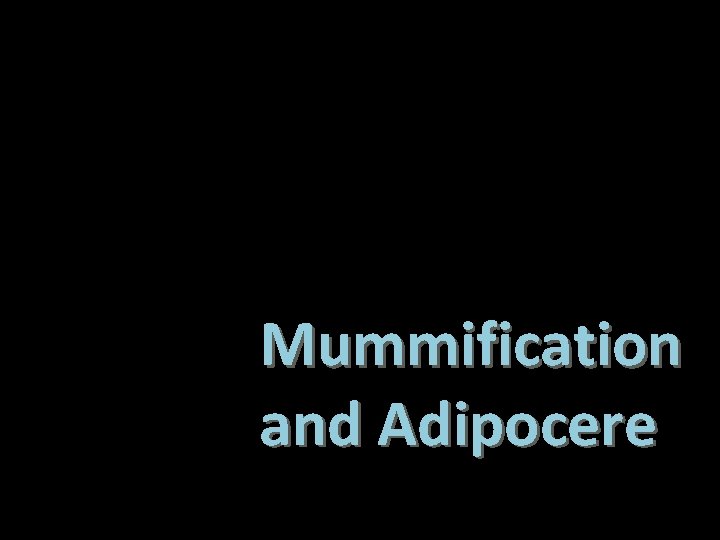 Mummification and Adipocere 