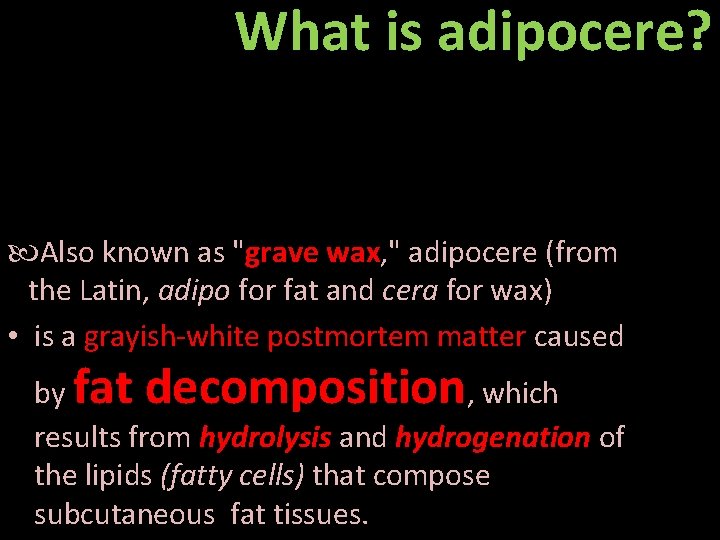 What is adipocere? Also known as "grave wax, " adipocere (from the Latin, adipo