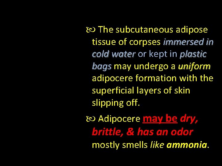  The subcutaneous adipose tissue of corpses immersed in cold water or kept in
