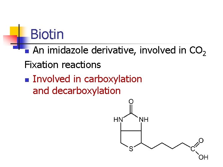 Biotin An imidazole derivative, involved in CO 2 Fixation reactions n Involved in carboxylation