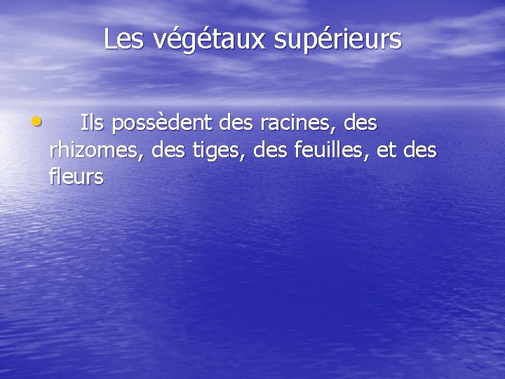 Les végétaux supérieurs • Ils possèdent des racines, des rhizomes, des tiges, des feuilles,