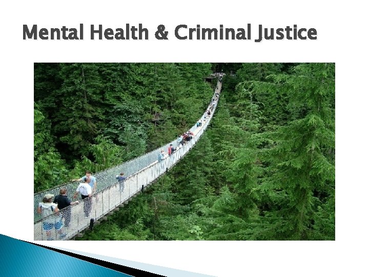Mental Health & Criminal Justice 