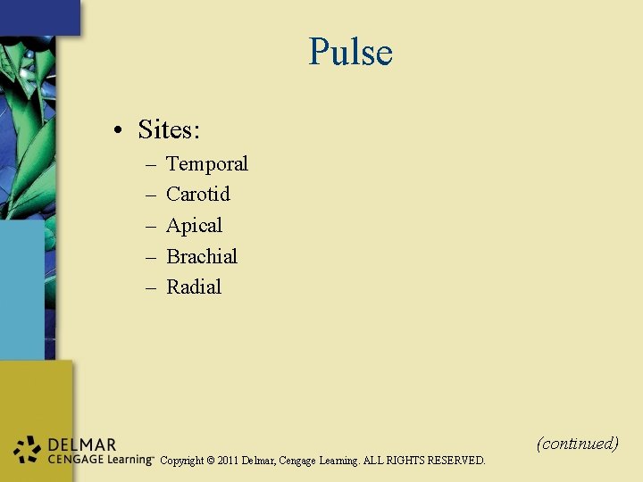 Pulse • Sites: – – – Temporal Carotid Apical Brachial Radial (continued) Copyright ©