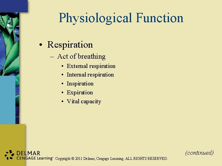 Physiological Function • Respiration – Act of breathing • • • External respiration Inspiration