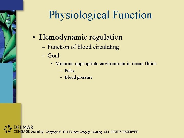 Physiological Function • Hemodynamic regulation – Function of blood circulating – Goal: • Maintain